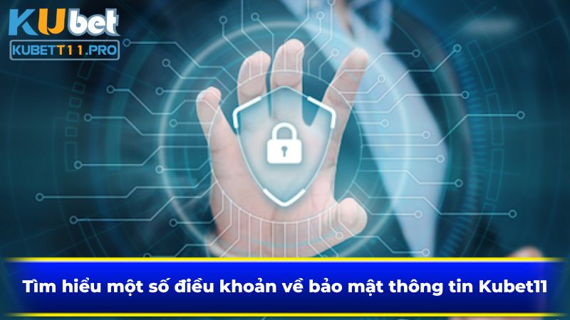 Tìm hiểu một số điều khoản về bảo mật thông tin Kubet11