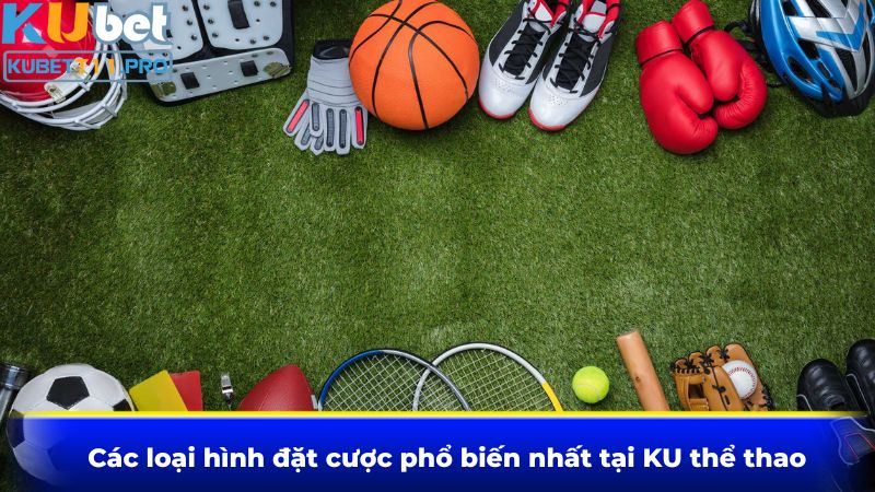 Các loại hình đặt cược phổ biến nhất tại KU thể thao Các loại hình đặt cược phổ biến nhất tại KU thể thao